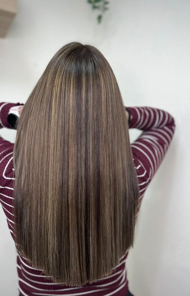 Cabello castaño largo y liso con reflejos más claros, visto desde atrás.