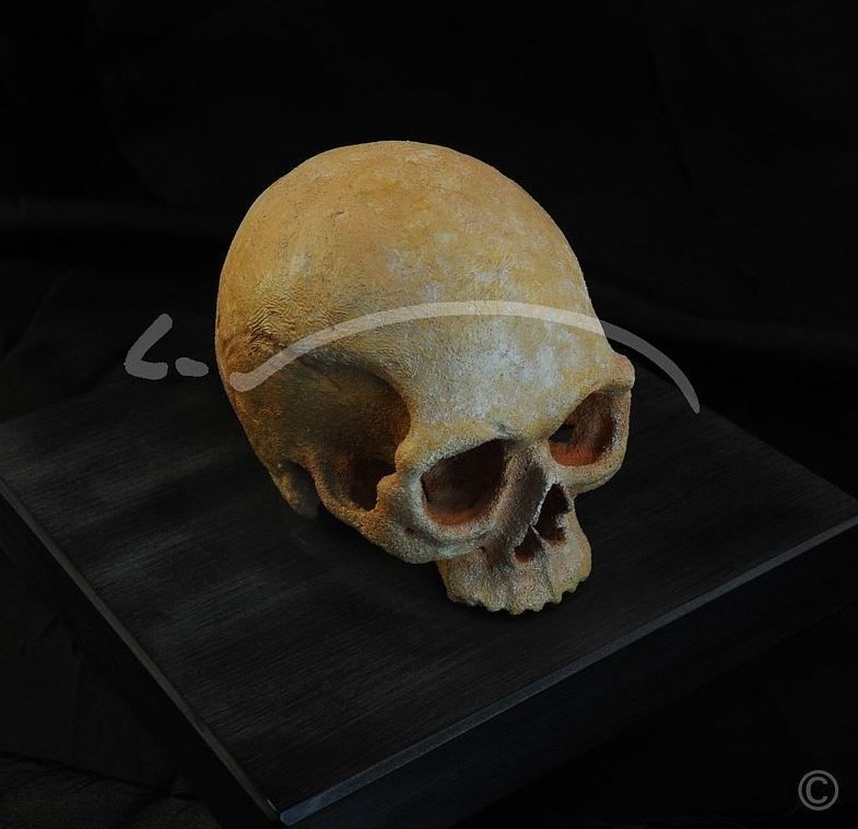 Laboratoire dentaire Enzo Di Stefano Sàrl | La Tour-de-Peilz