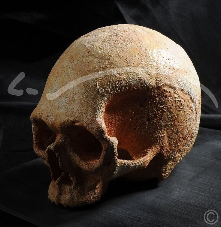 Laboratoire dentaire Enzo Di Stefano Sàrl | La Tour-de-Peilz