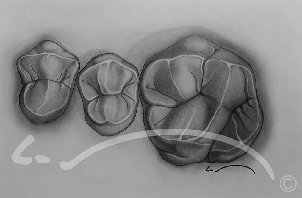 Laboratoire dentaire Enzo Di Stefano Sàrl | La Tour-de-Peilz