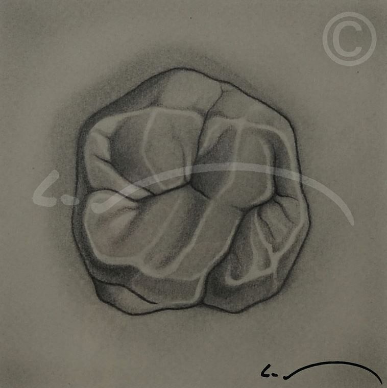 Laboratoire dentaire Enzo Di Stefano Sàrl | La Tour-de-Peilz