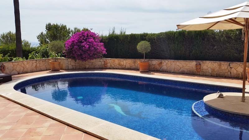 Una gran piscina con una sombrilla y flores moradas al fondo.