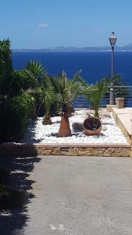 Un jardín con plantas en macetas y vista al mar.