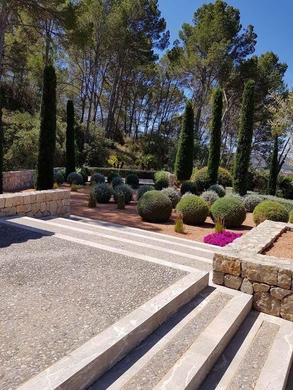 Escaleras que conducen a un jardín con árboles y arbustos.