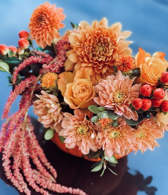 Auf einem Tisch stehen ein paar Topfpflanzen.