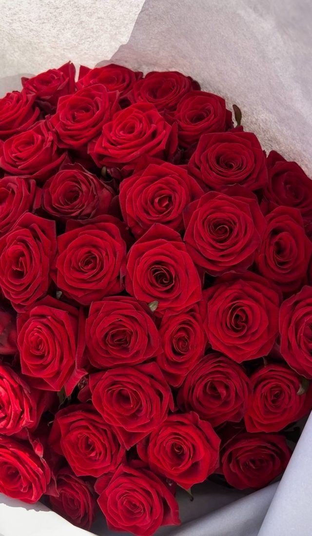 Ein großer Strauß roter Rosen, in weißes Papier eingewickelt.