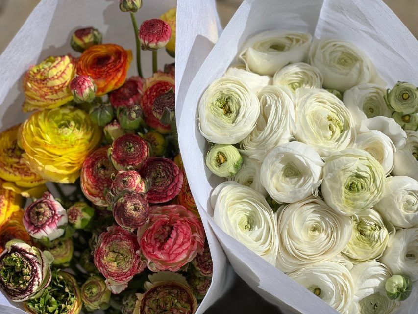 Zwei Säcke mit Blumen stehen nebeneinander auf einem Tisch.