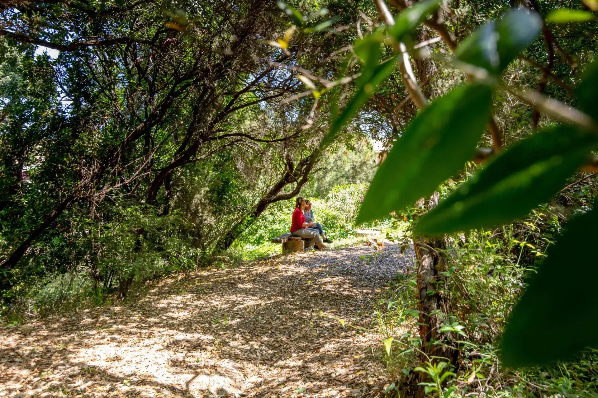 Balade dans le gîte familial arboré