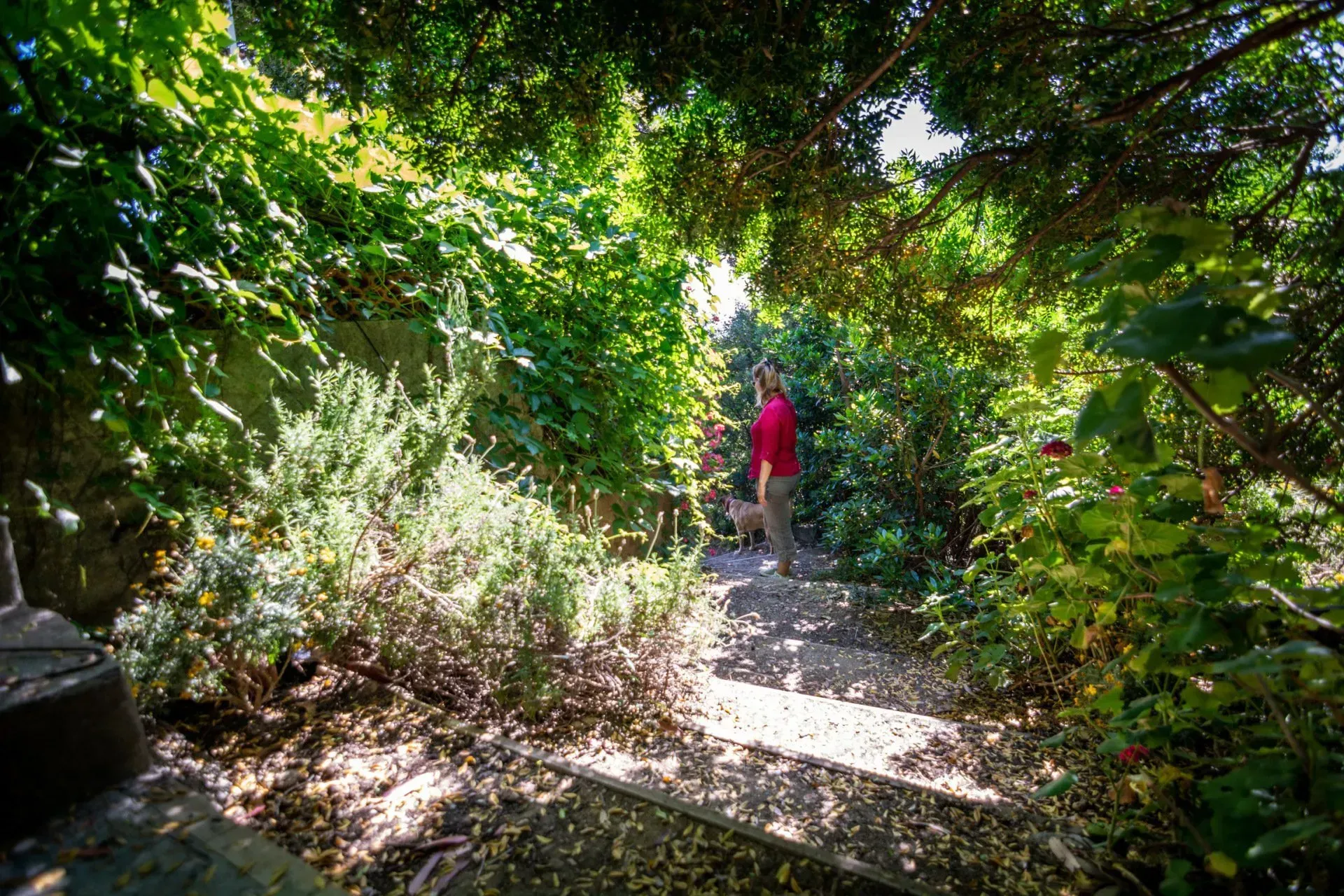 Gîte arboré pour des balades en extérieur