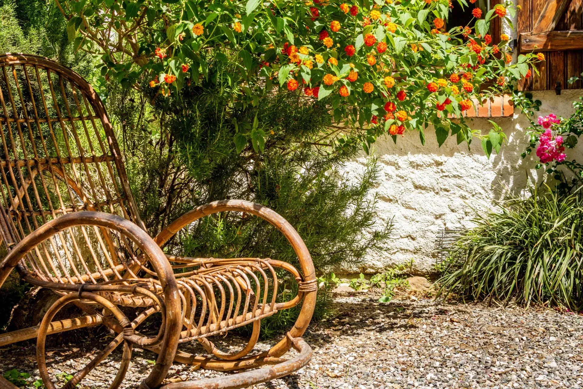 Fauteuil en rotin avec une plante en fleur