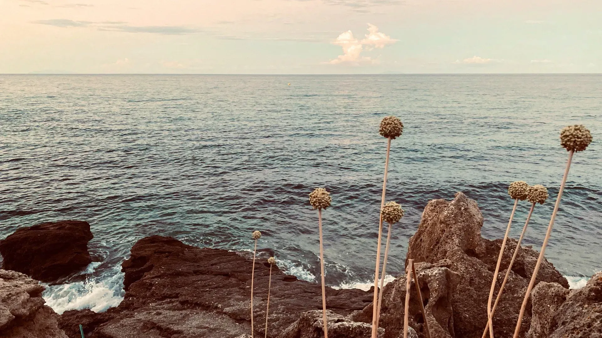Paysage falaise au bord de la mer