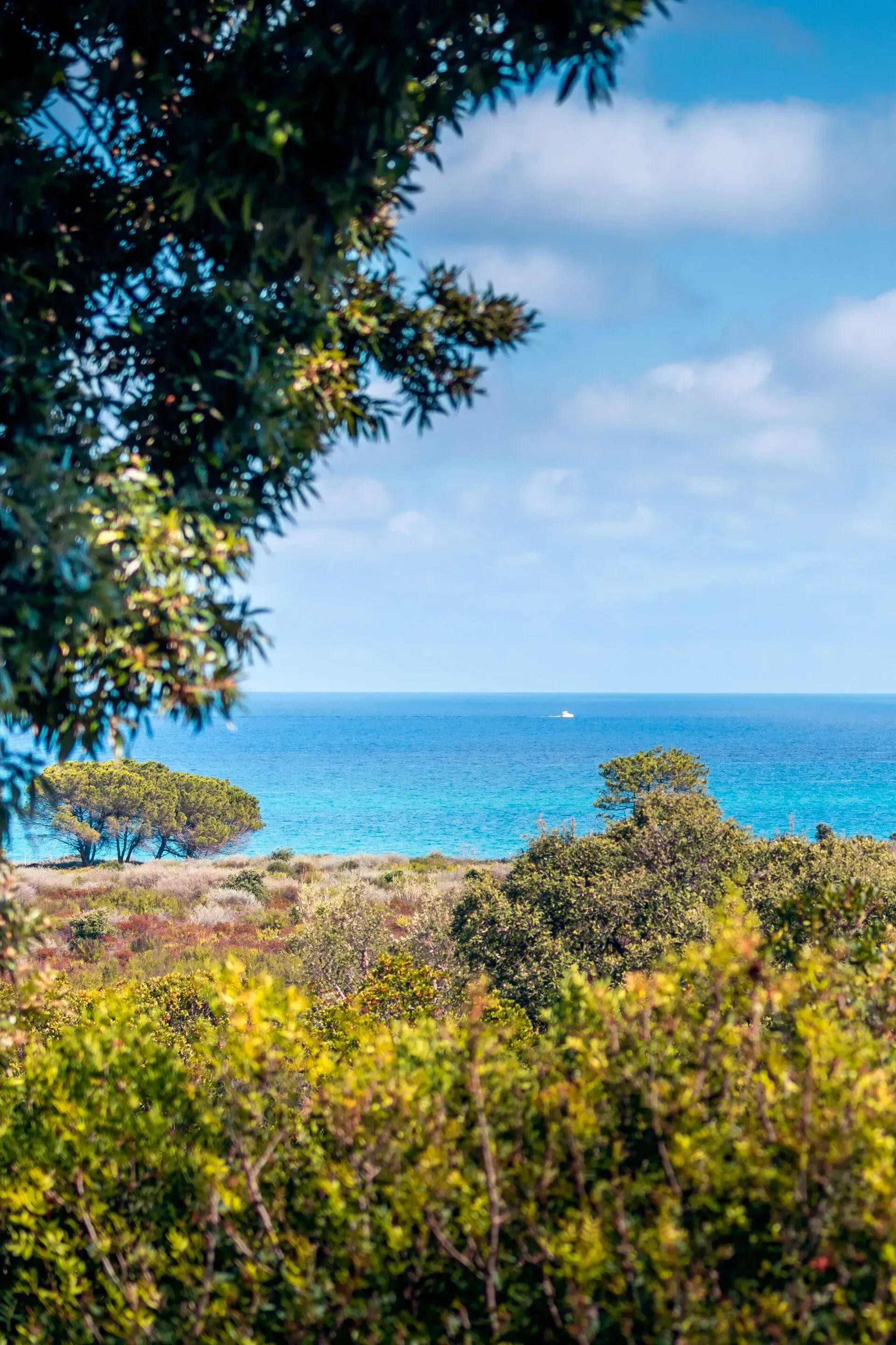 Vu mer directement du gîte familiale
