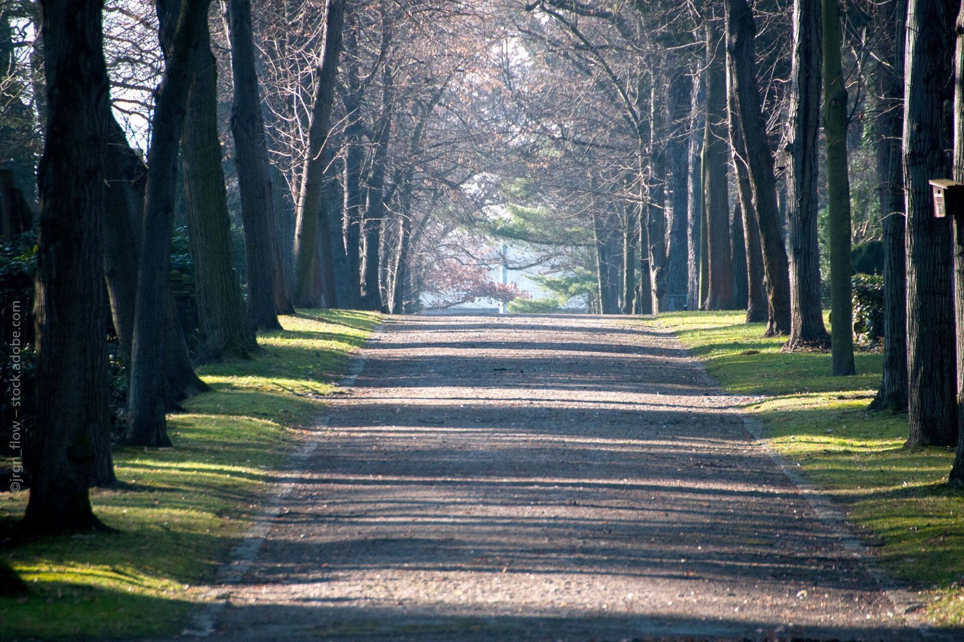Stiller Waldpfad für eine naturnahe Bestattung bei Dresden