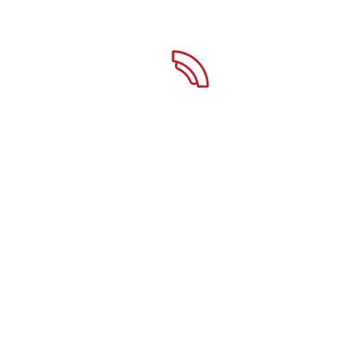 Roue avec frein