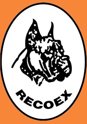 logotipo cabecera