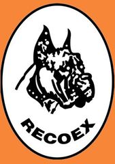 logotipo cabecera