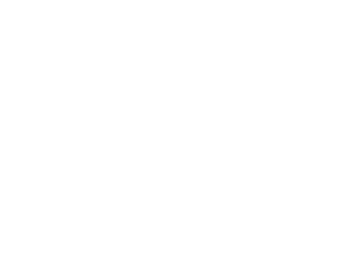 Sari's Place logo valkoisena.