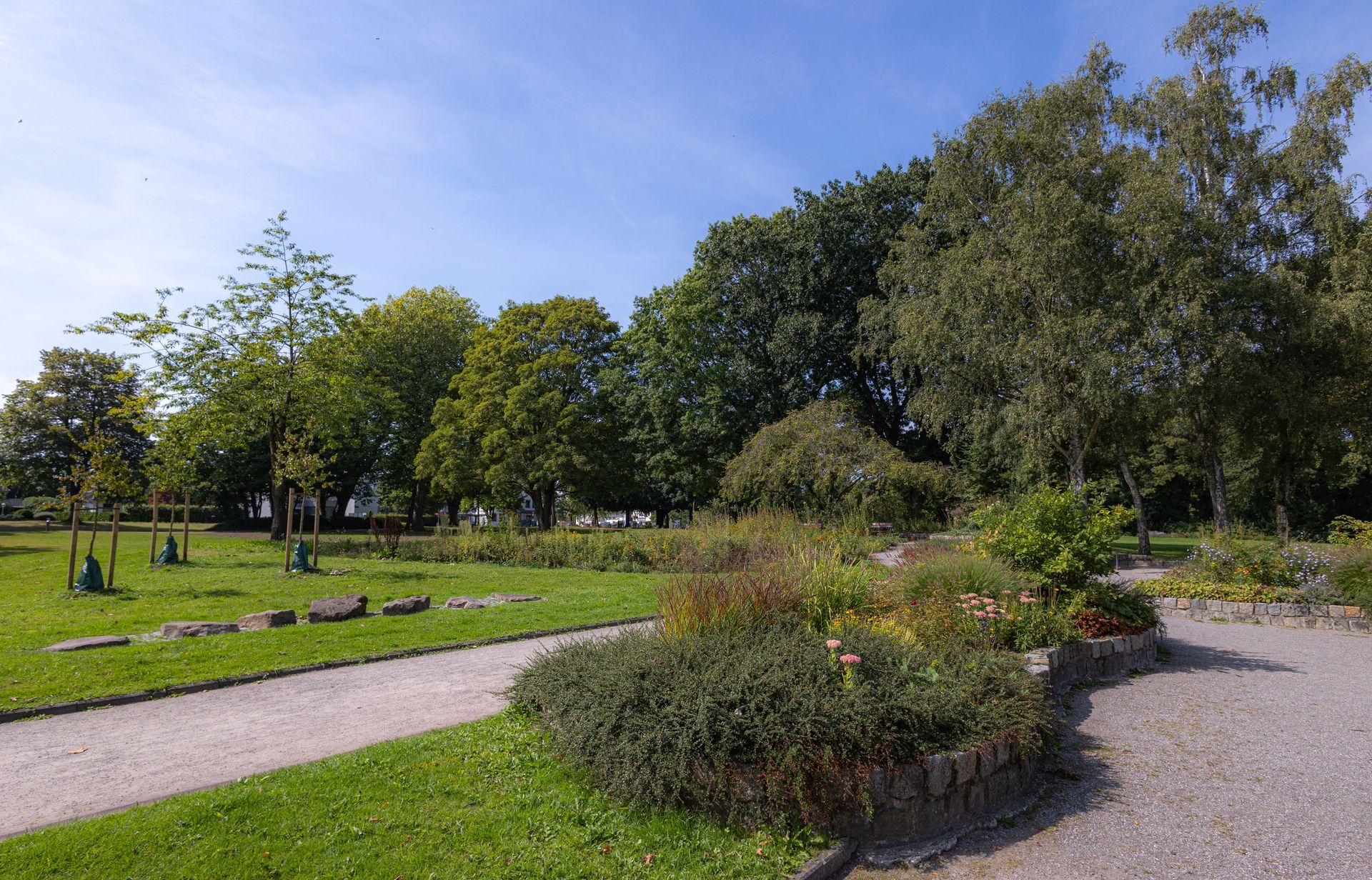 Ein Weg in einem Park mit Bäumen und Gras an einem sonnigen Tag