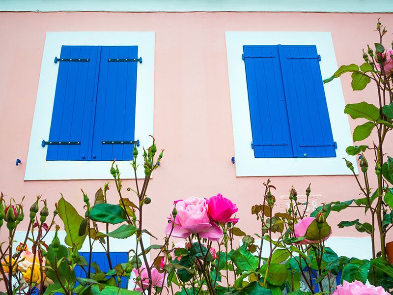 Volets en bois bleu électrique installés sur une maison rose