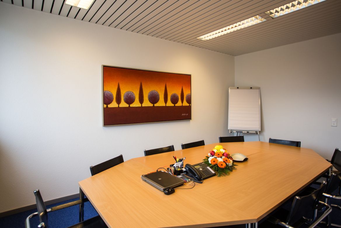 Rebex AG - Dietikon 1