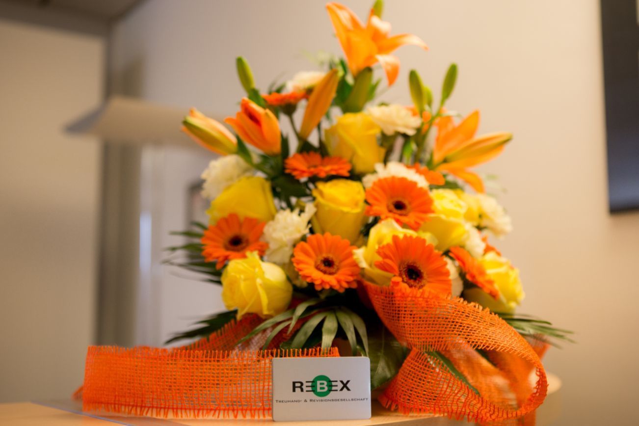 Rebex AG - Dietikon 1