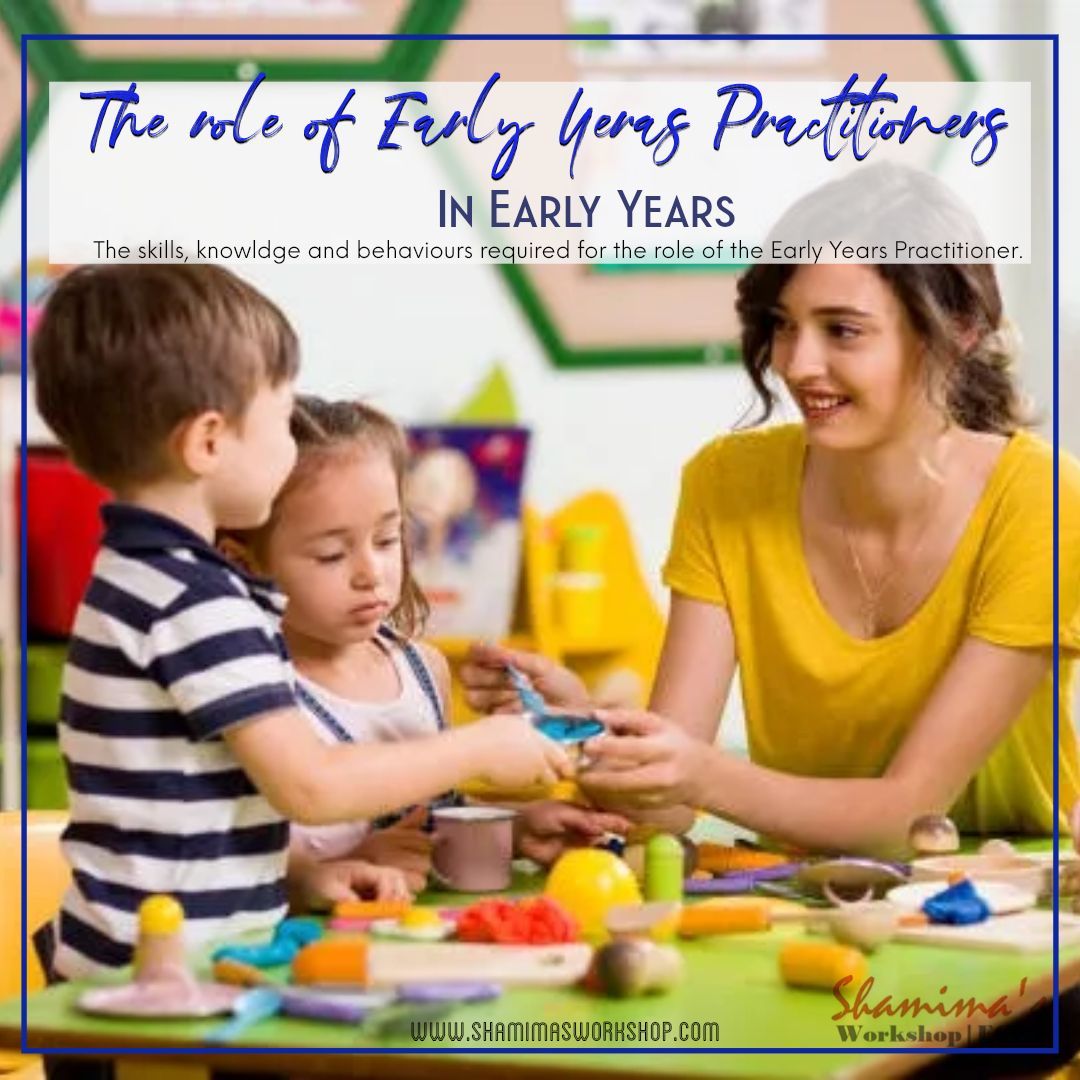 the professional role and responsibilities of an early years educator regarding knowledge, skills 