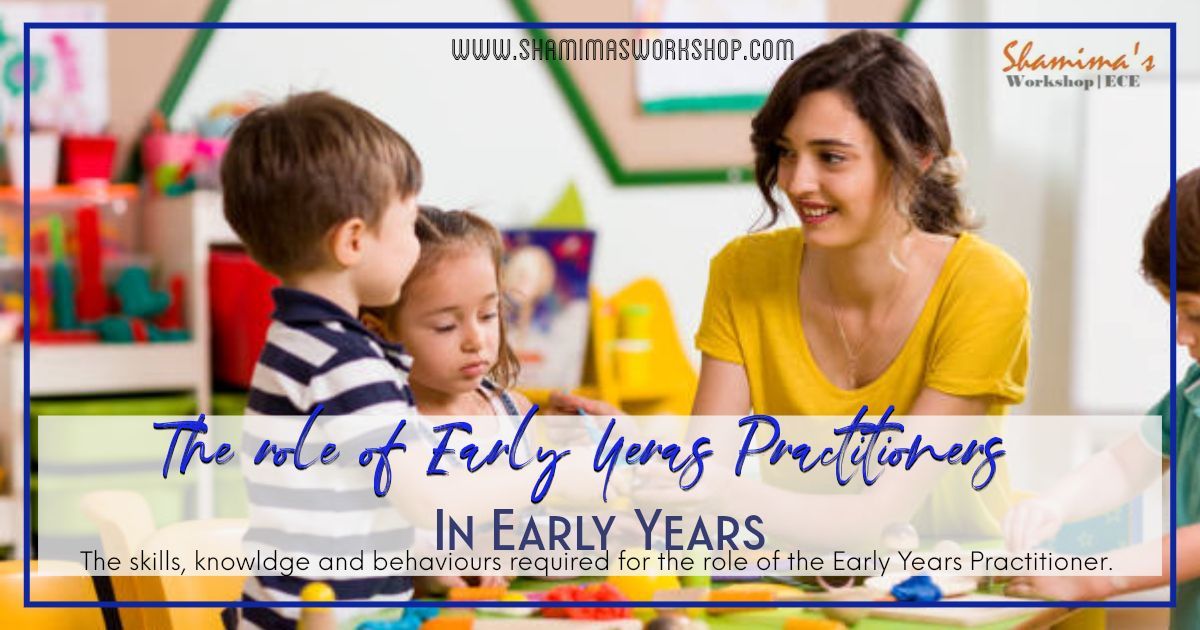 Explain the professional role and responsibilities of an early years educator regarding knowledge, skills and behaviours   