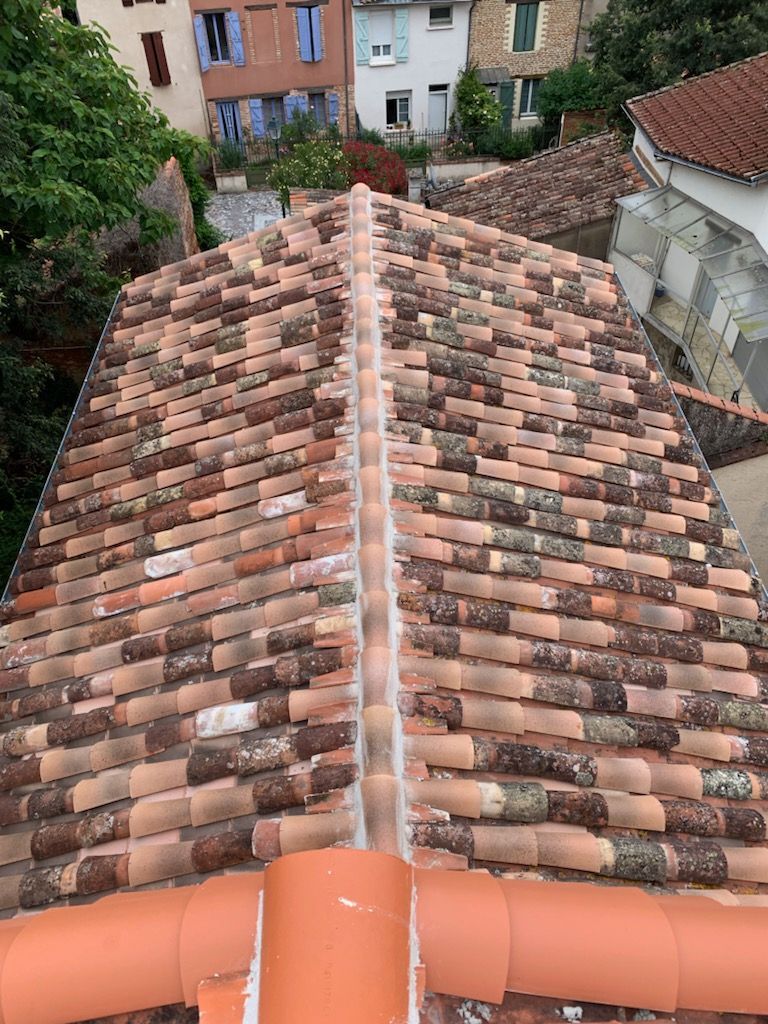 Toiture en tuiles de terre cuite avec faîtage, petits bâtiments en arrière-plan.