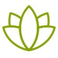 Contour d'une fleur de lotus verte.