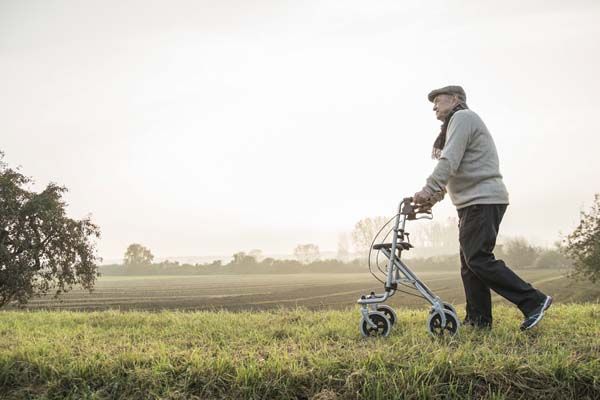 Une personne âgée, utilisant un déambulateur à roulettes, traverse un champ herbeux par une journée brumeuse.