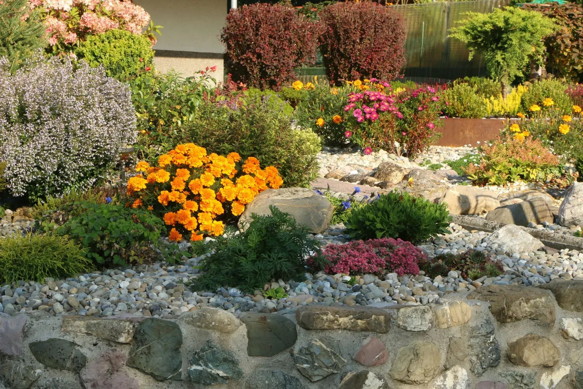 Parterre de fleurs coloré avec des fleurs orange, roses et jaunes dans un jardin bordé de pierres.