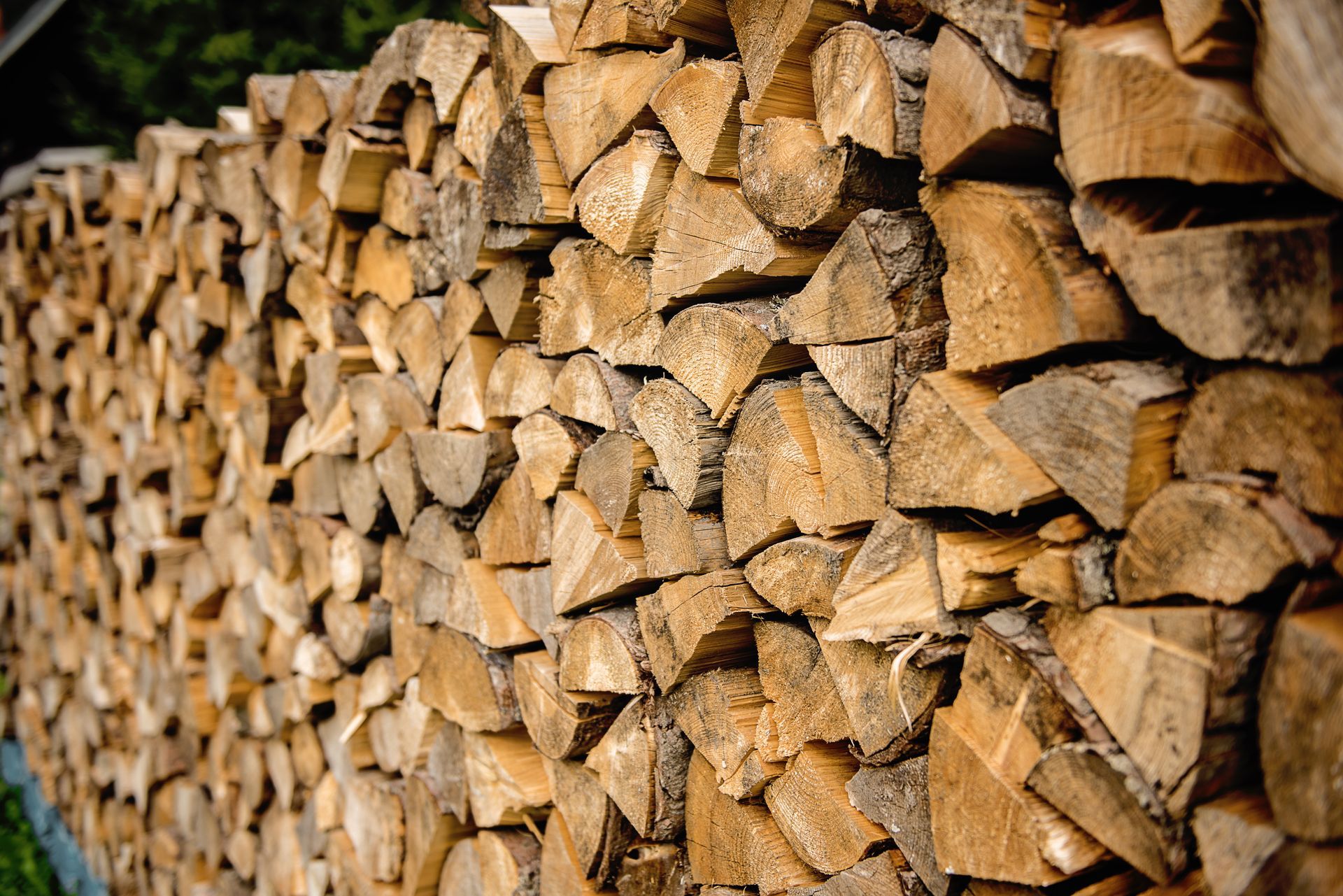 Bûches de bois de chauffage fendues et empilées dans un tas de bois, laissant apparaître les extrémités coupées et l'écorce sous la douce lumière du soleil.