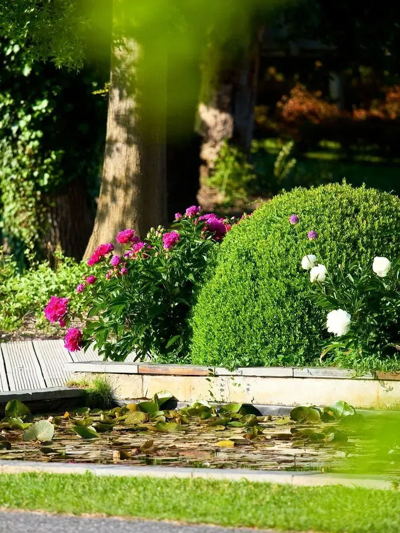 Jardin avec des fleurs roses et blanches au bord d'un étang et d'une pelouse verte ensoleillée.