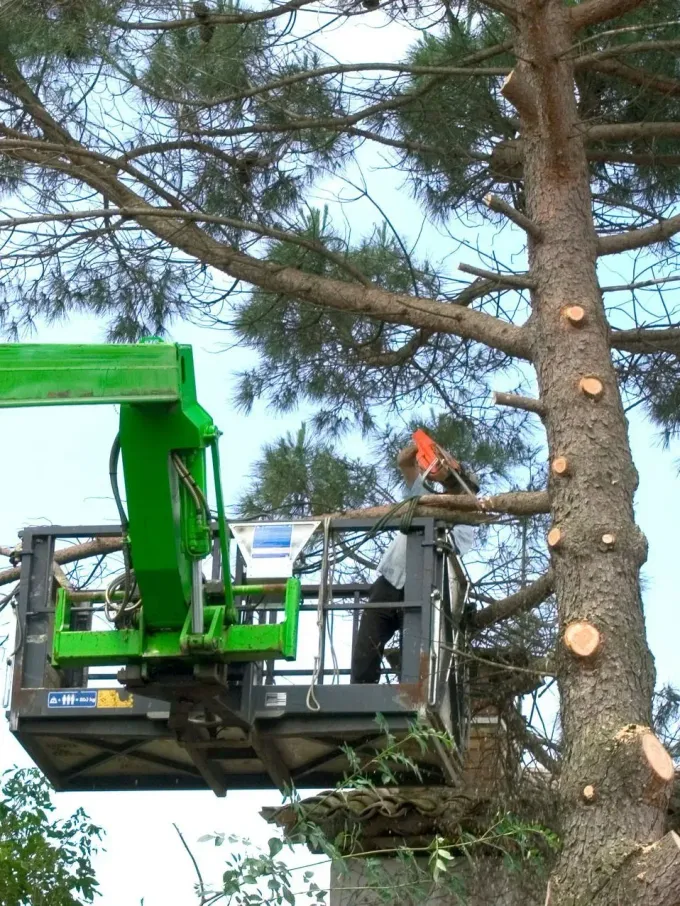 Vers la page Bois de chauffage.