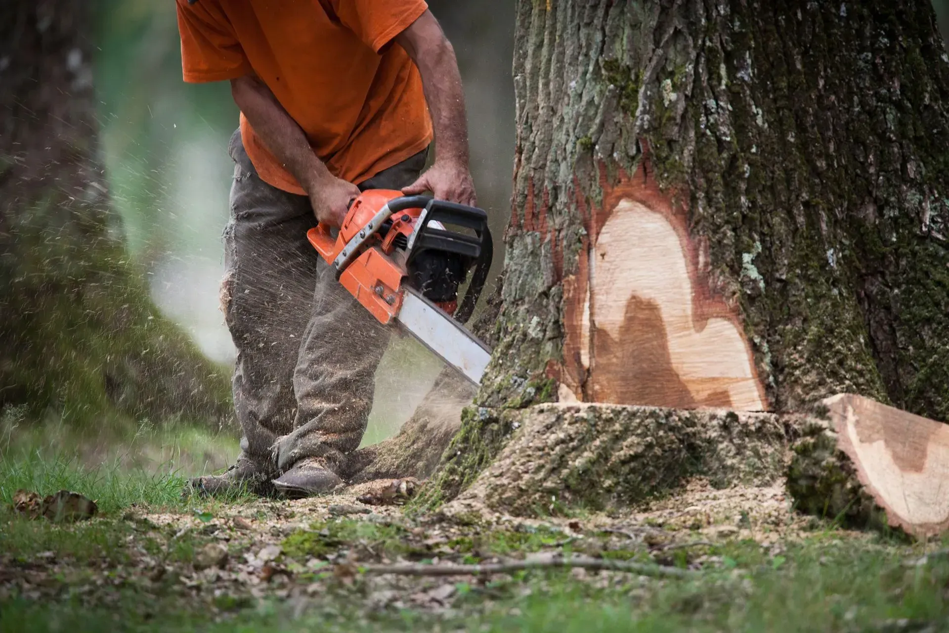 Une personne utilise une tronçonneuse pour couper un tronc d'arbre à l'extérieur, des copeaux de bois volent dans les airs.