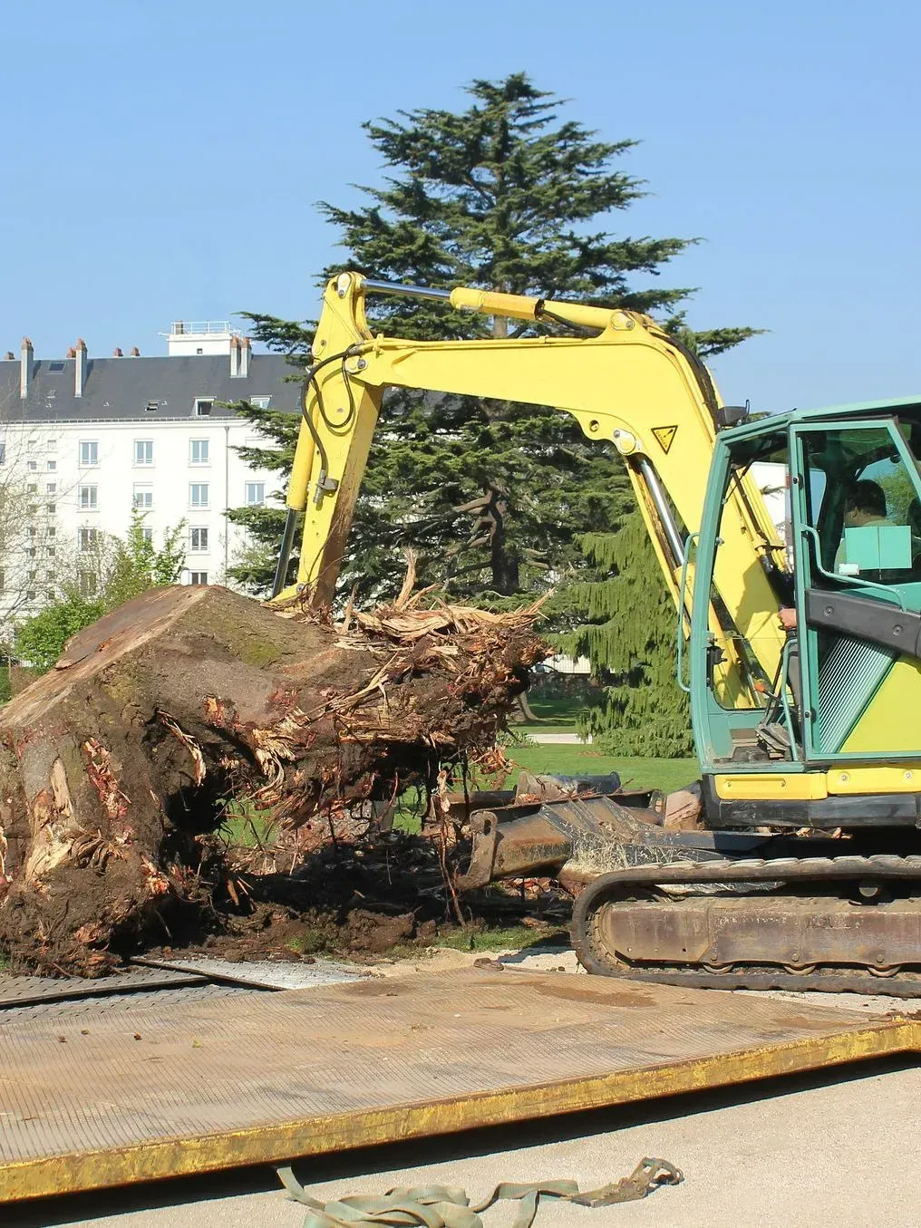 Une pelleteuse jaune soulève une grosse souche d'arbre sur un chantier de construction sous un ciel bleu dégagé.