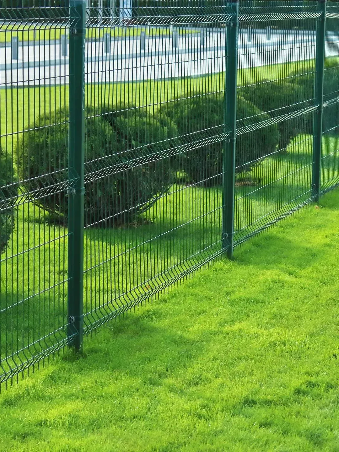 Clôture métallique verte bordant une rangée de buissons soigneusement taillés sur une pelouse.
