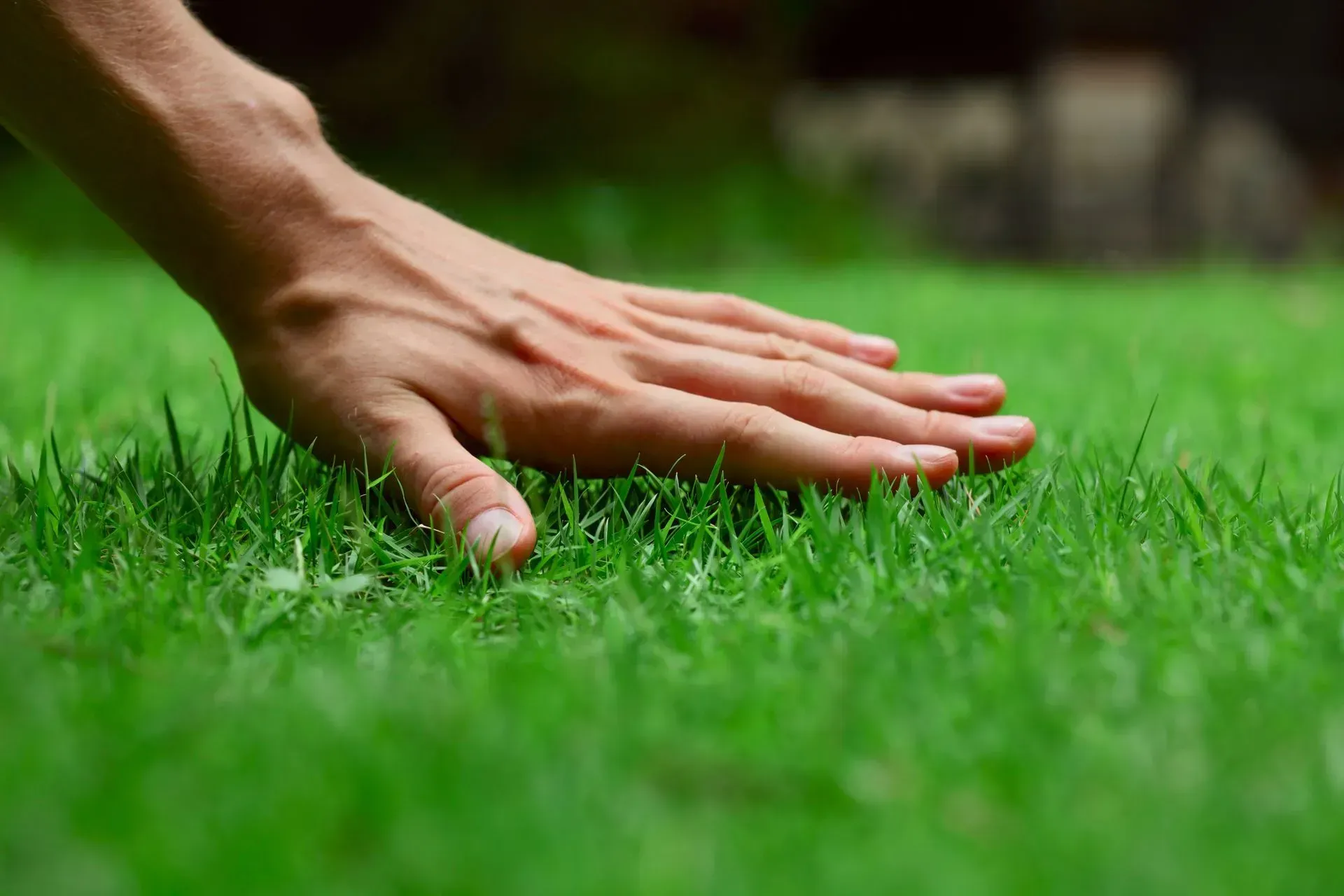 Main touchant l'herbe verte à l'extérieur.