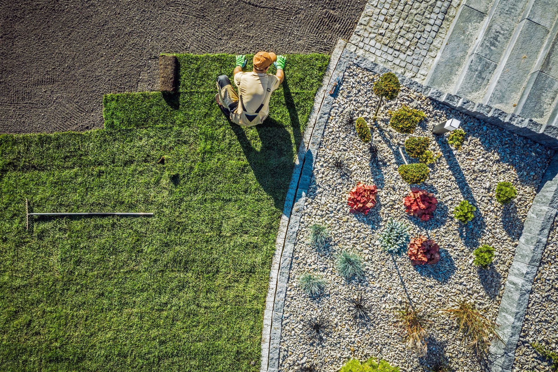 Petit chien sur une pelouse verte, près d'une clôture blanche et d'un parterre de fleurs, vu du dessus.