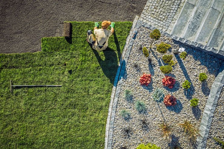 Petit chien sur une pelouse verte, près d'un chemin de gravier et d'une maison au toit blanc ornée de fleurs rouges.
