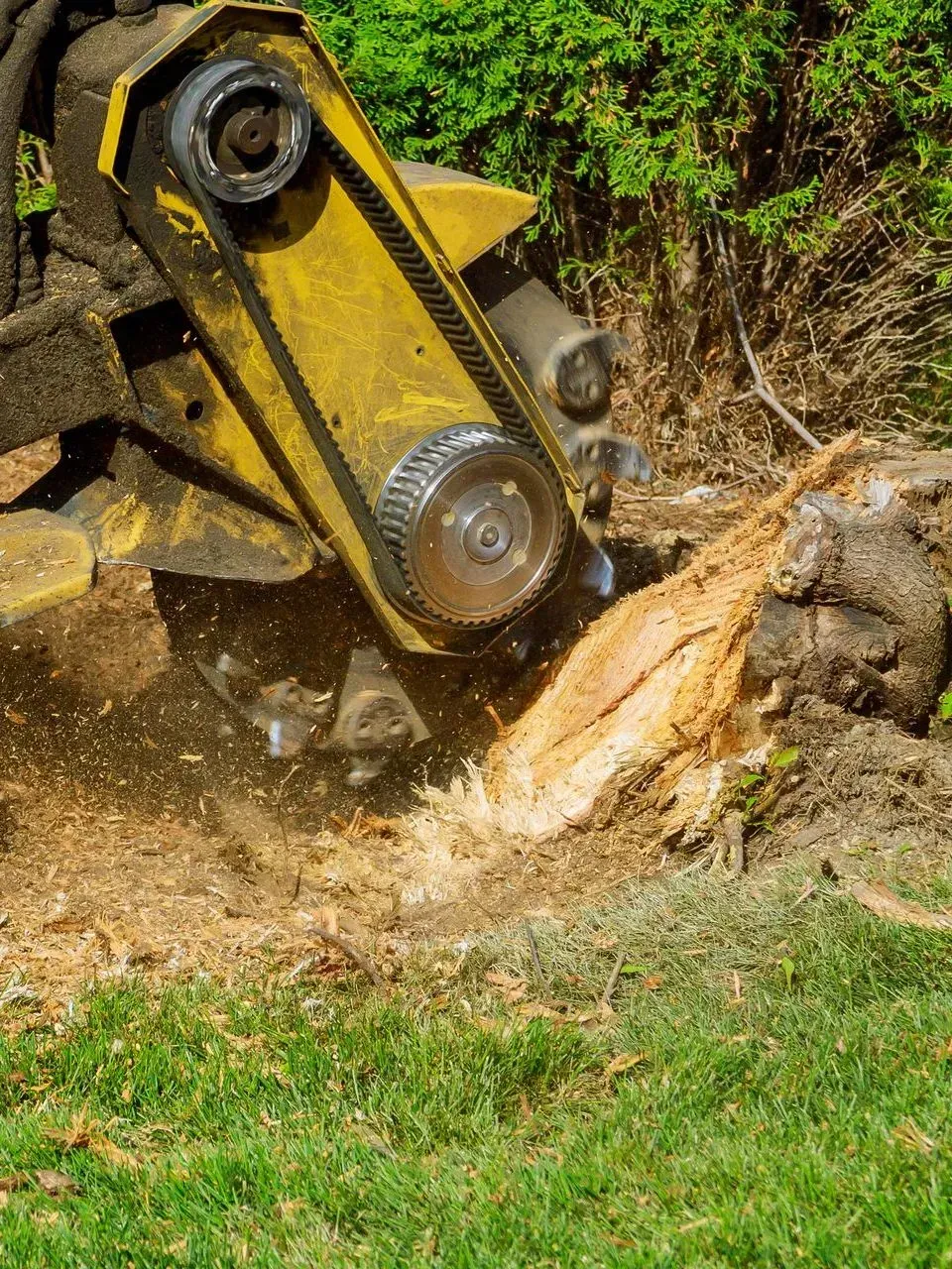 Godet jaune d'une excavatrice creusant un sol boueux près d'une souche d'arbre, soulevant de la terre.
