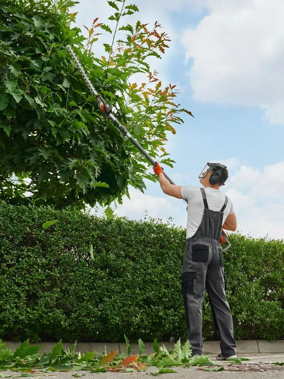 Une personne taille une haute haie dans un jardin sous un ciel bleu.