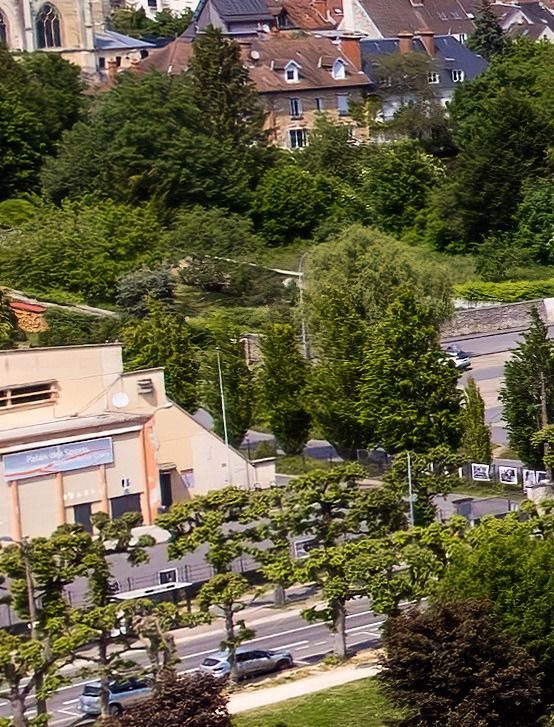 Rue bordée d'arbres, avec des voitures garées et des bâtiments beiges en arrière-plan.