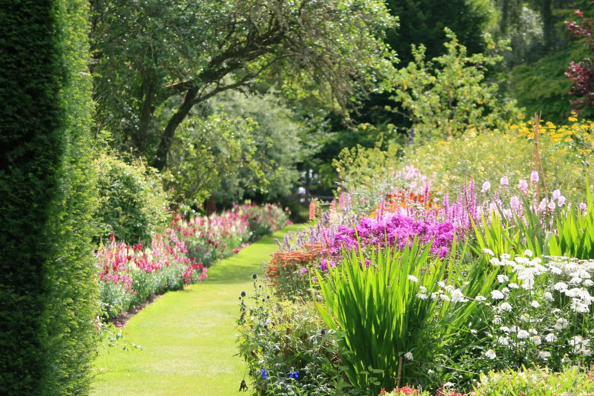 Allée de jardin luxuriante bordée de fleurs colorées et d'arbres verdoyants et denses.