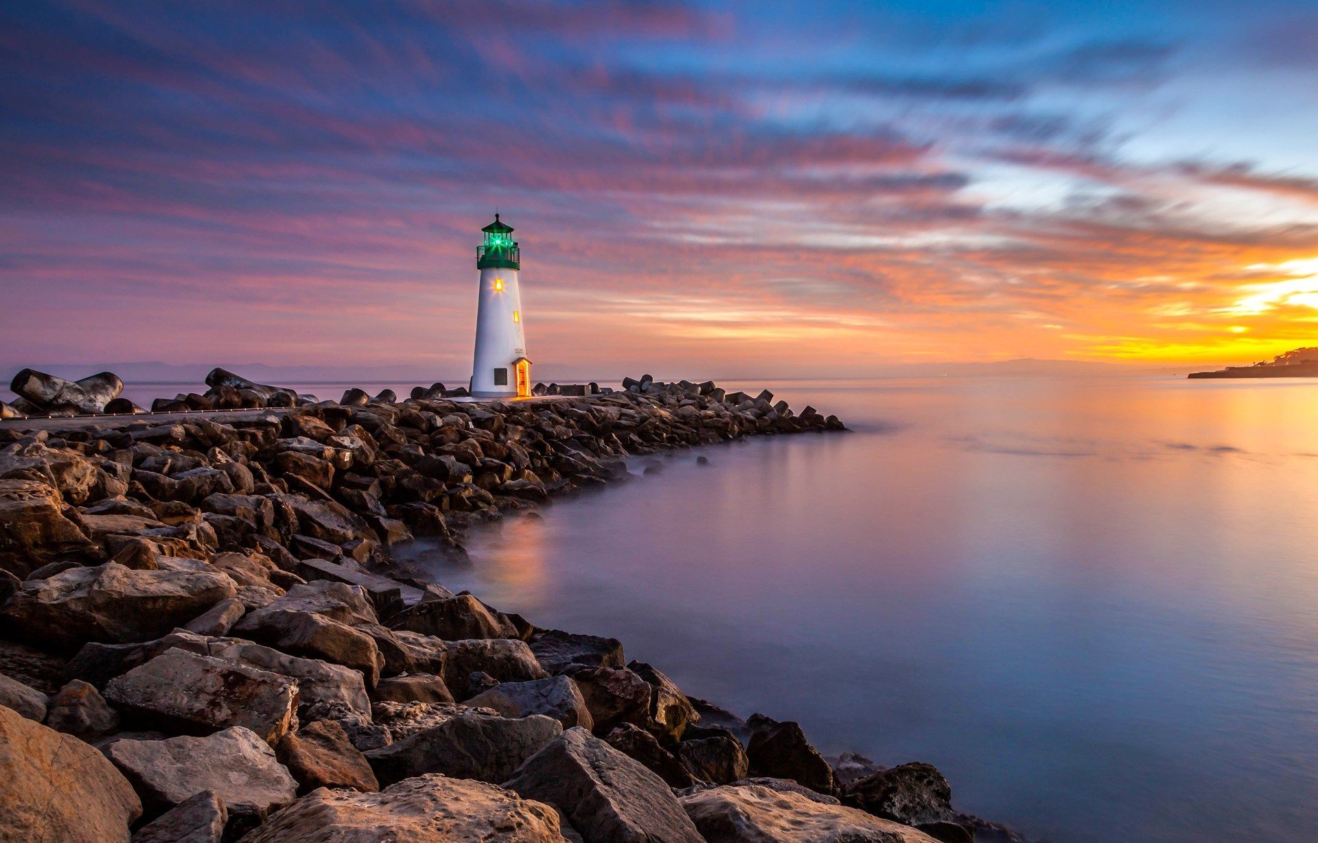 Blumen und Motte in der Nacht