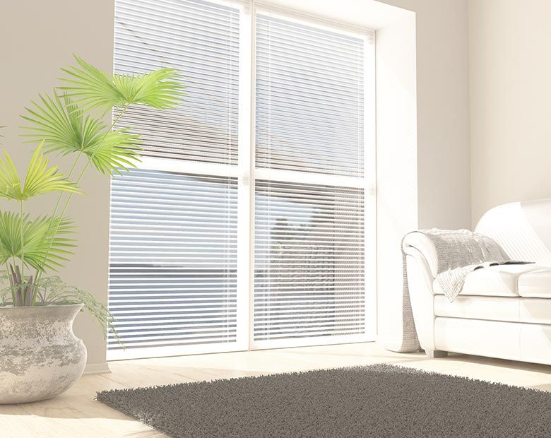 Intérieur lumineux et aéré avec une grande fenêtre, des stores, un canapé blanc, une plante en pot et un tapis gris.