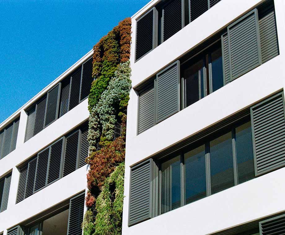 Bâtiment blanc avec un mur végétalisé ; volets sombres aux fenêtres.