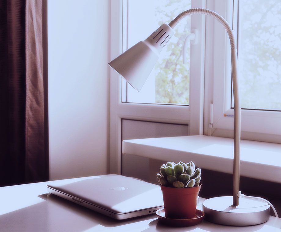Bureau avec ordinateur portable, plante grasse en pot et lampe blanche près d'une fenêtre.