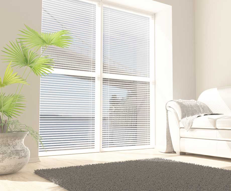 Une pièce lumineuse avec une grande fenêtre, un canapé blanc, un tapis et une plante en pot. Les stores sont partiellement ouverts.