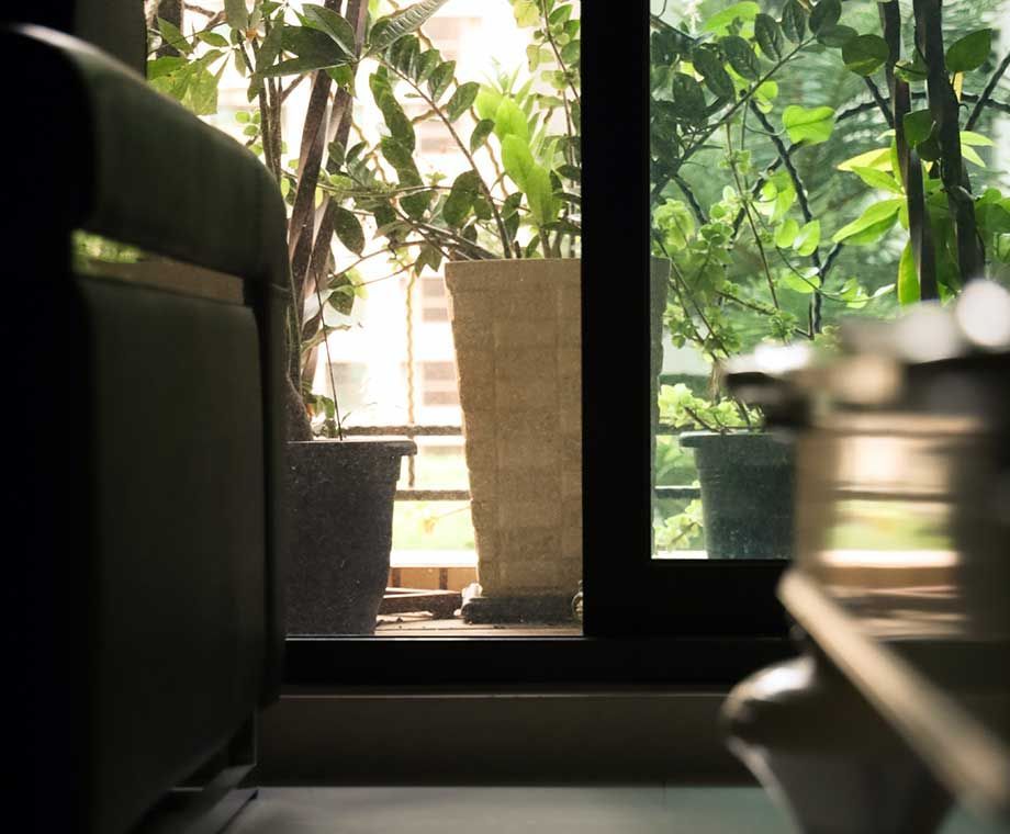 Vue intérieure d'une fenêtre avec des plantes en pot ; une chaise et un objet de cuisine flou sont au premier plan.